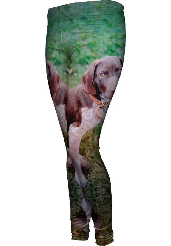 German Shorthaired Pointer Look